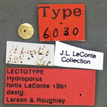 Media type: image;   Entomology 6030 Aspect: labels
